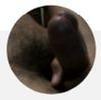 foto do perfil ativogyn